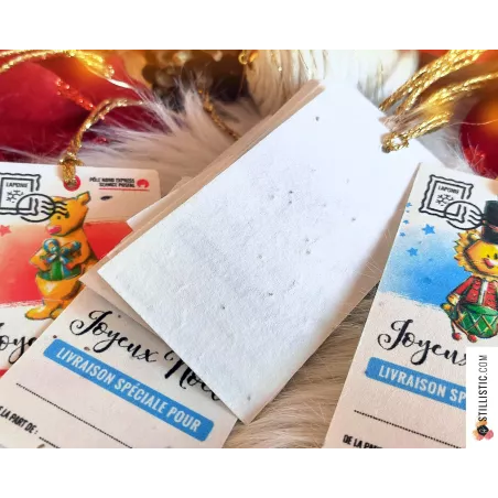Etiquettes cadeaux animaux de Noël à planter (éco-responsable)