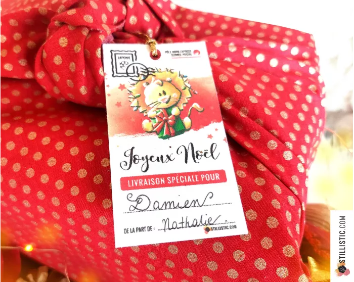 Etiquettes cadeaux animaux de Noël à planter (éco-responsable)