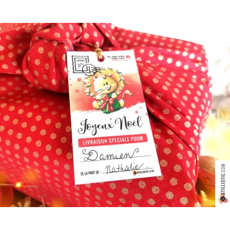 Etiquettes cadeaux animaux de Noël à planter (éco-responsable)