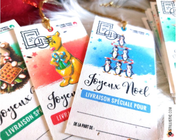 Etiquettes cadeaux animaux de Noël à planter papier ensemencé éco