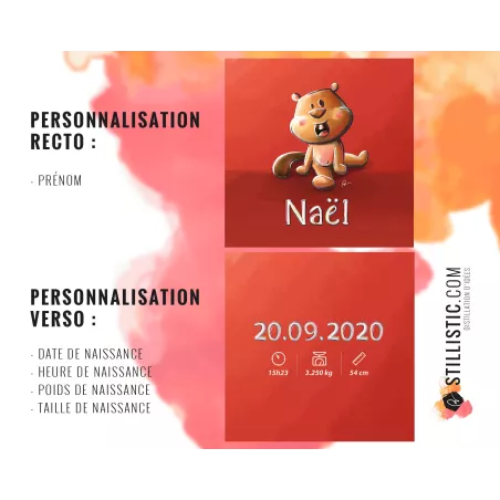 Coupon tissu Coussin de naissance Bébé Castor