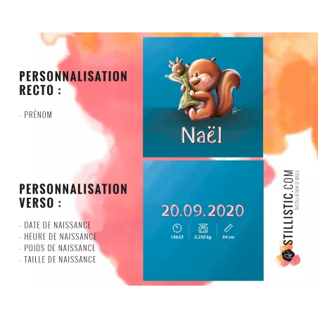 Coupon tissu Coussin de naissance Bébé Ecureuil