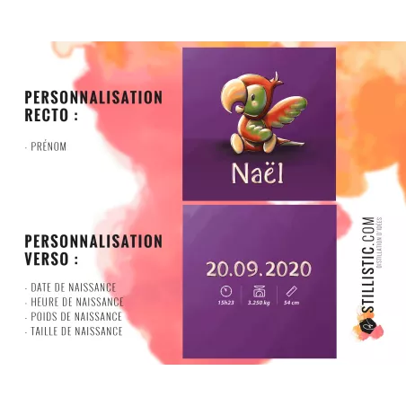 Coupon tissu Coussin de naissance Bébé Perroquet