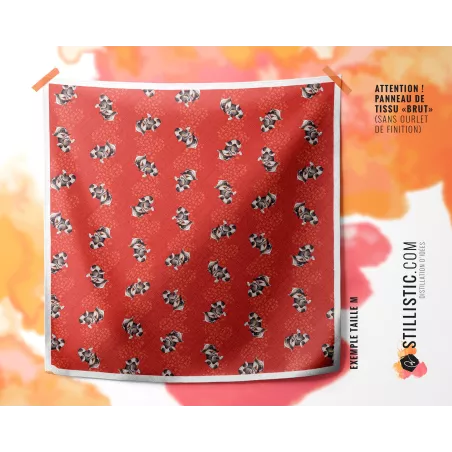 Coupon Furoshiki Bébé raton-laveur