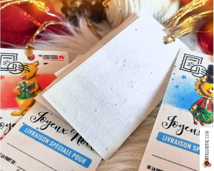 Etiquettes cadeaux toutes occasions à planter (éco-responsable)