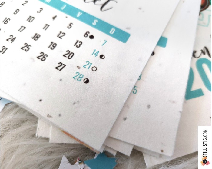 Calendrier 2026 à planter yogis éco-responsable
