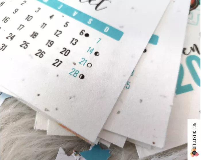 Calendrier 2026 à planter yogis éco-responsable