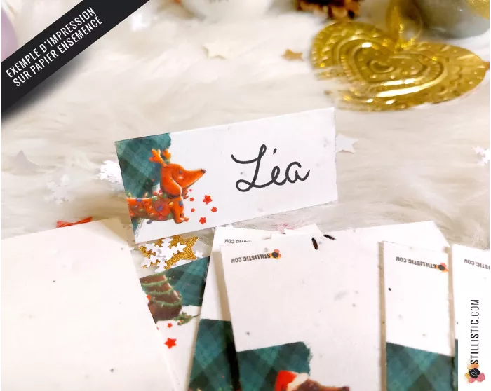 Marque-places Teckels de Noël à imprimer