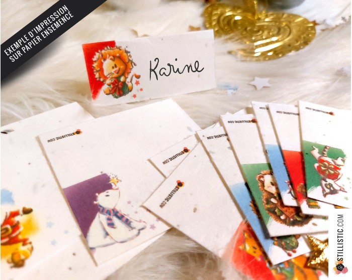 Marque-places Animaux de Noël à télécharger et imprimer