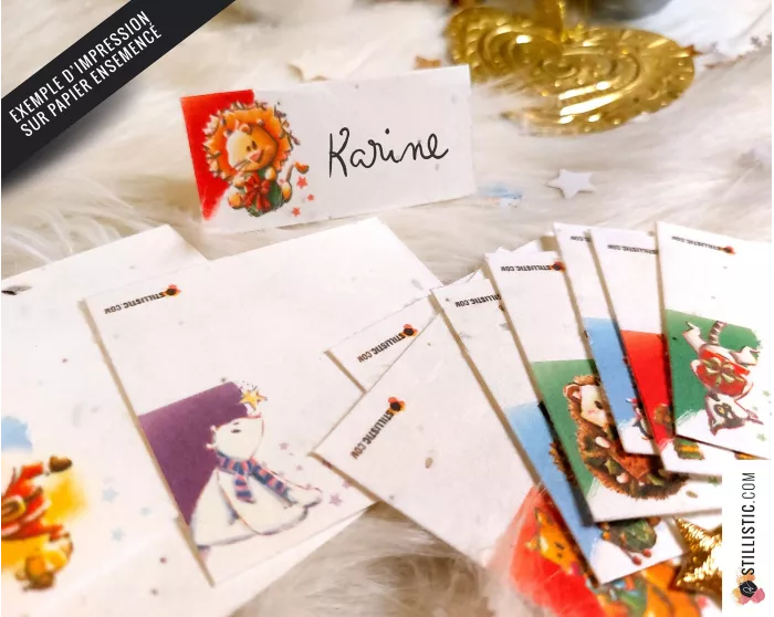 Marque-places Animaux de Noël à télécharger et imprimer