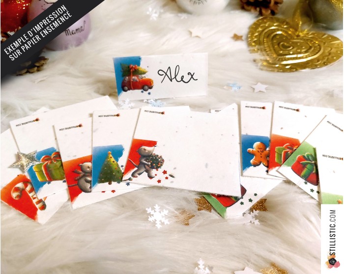 Marque-places Souris de Noël à imprimer