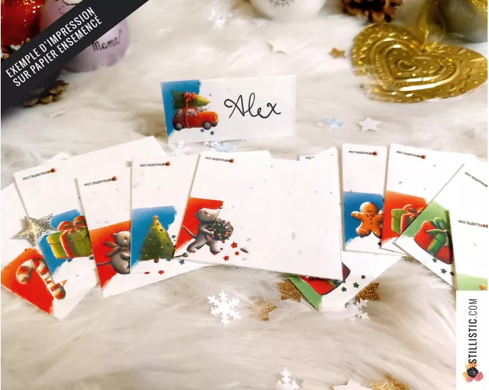 Marque-places Souris de Noël à imprimer