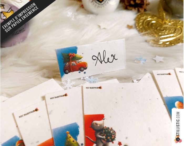 Marque-places Souris de Noël à imprimer