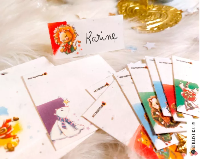 Marque-places Animaux Noël à planter