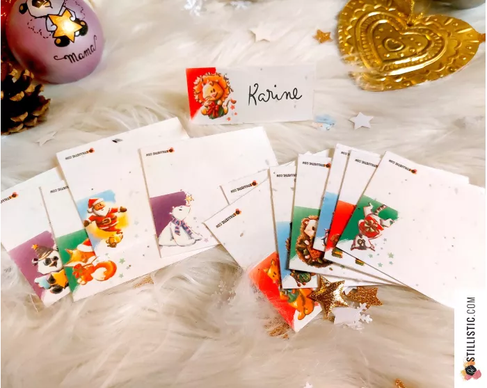 Marque-places Animaux Noël à planter