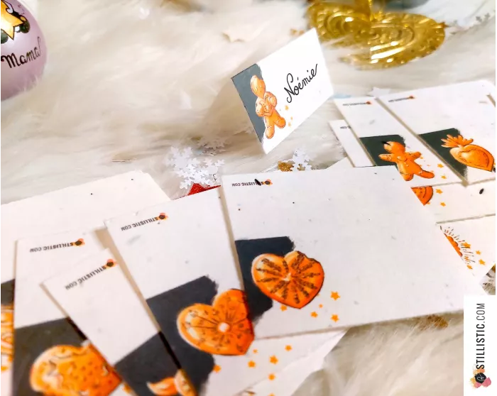 Marque-places Animaux Noël à planter