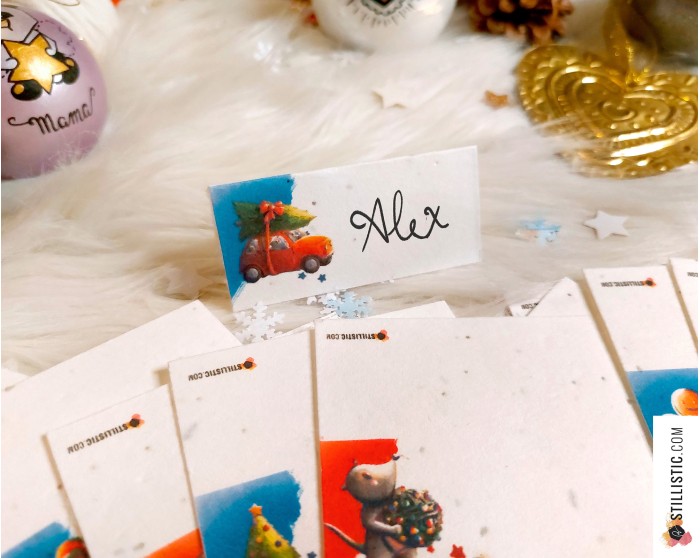 Marque-places Souris Noël à planter