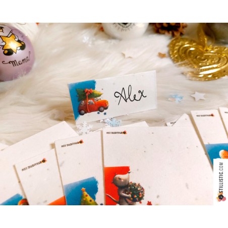 Marque-places Souris Noël à planter