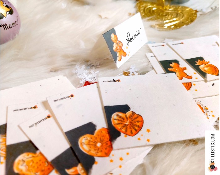 Marque-places Souris Noël à planter