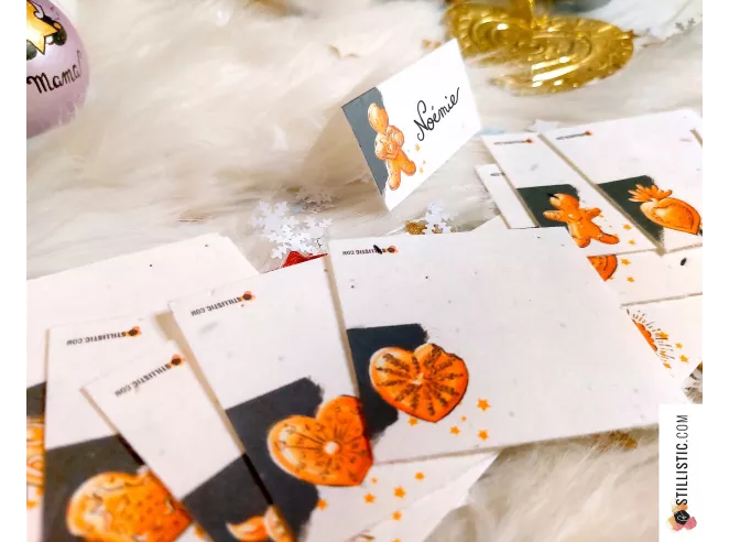 Marque-places Souris Noël à planter