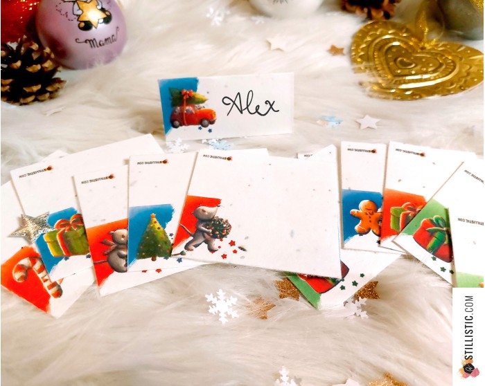 Marque-places Souris Noël à planter