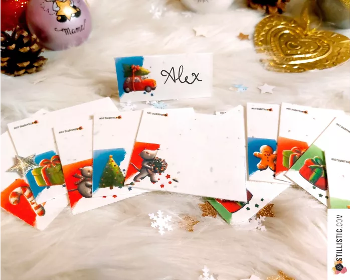 Marque-places Souris Noël à planter