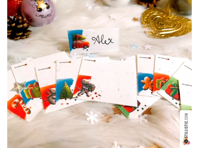 Marque-places Souris Noël à planter