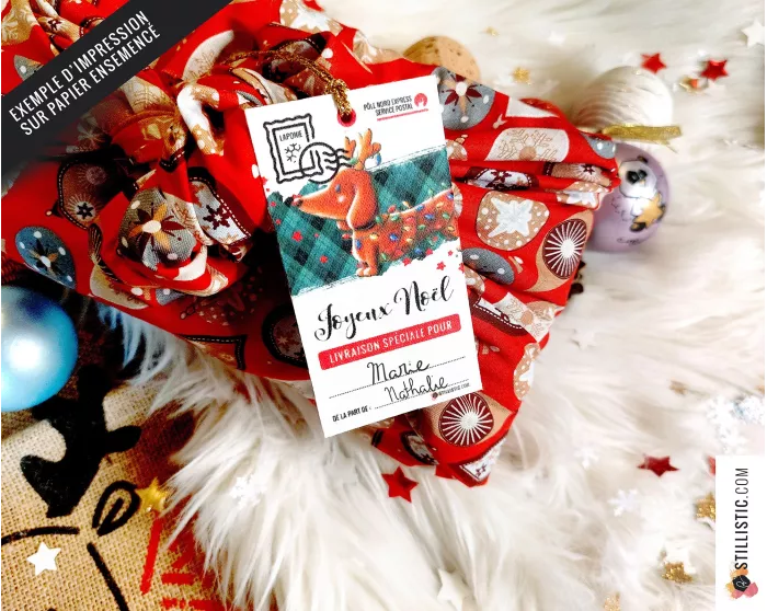 Etiquettes cadeaux Teckels de Noël à imprimer