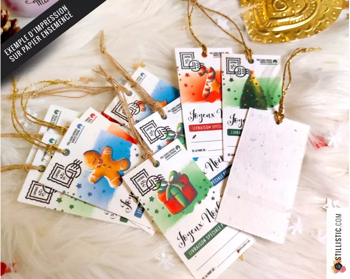 Etiquettes cadeaux Souris  de Noël à imprimer