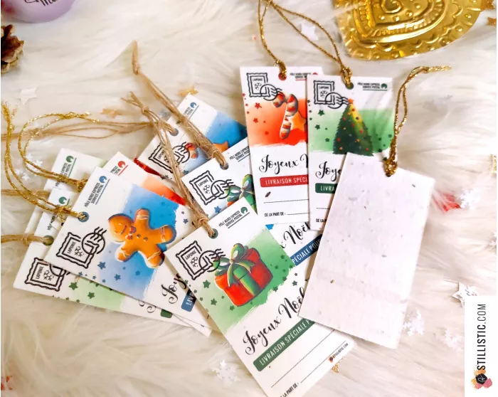 Etiquettes cadeaux souris de Noël à planter