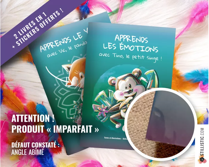 Livre 32 pages 2 histoires à colorier Emotions et Yoga + stickers offerts Stillistic