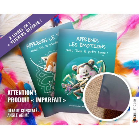 Livre 32 pages 2 histoires à colorier Emotions et Yoga + stickers offerts Stillistic