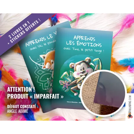 Livre 32 pages 2 histoires à colorier Emotions et Yoga + stickers offerts Stillistic