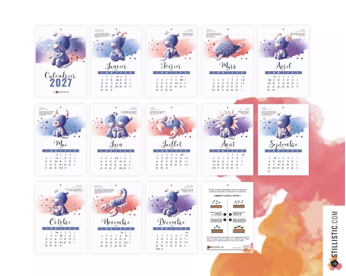 Calendrier à planter 2027 Astrologie éco-responsable papier graine ensemencé
