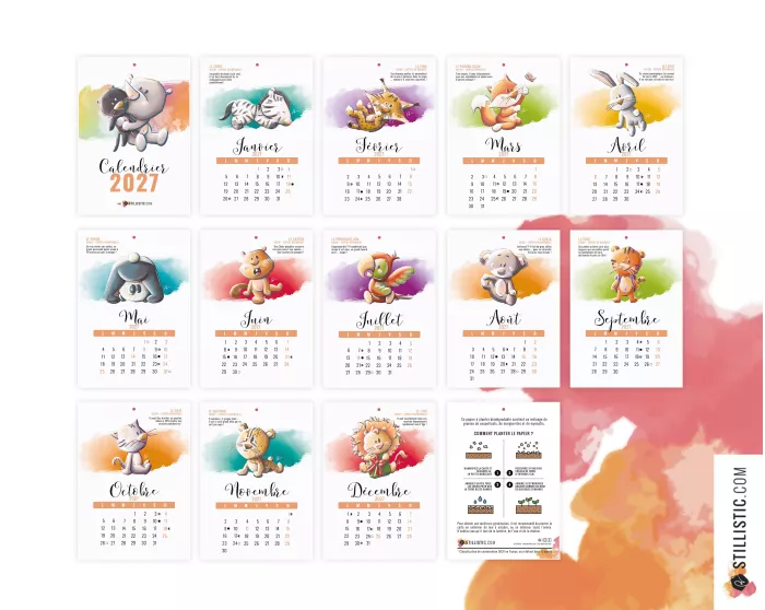 Calendrier à planter 2027 des animaux éco-responsable papier graine ensemensé