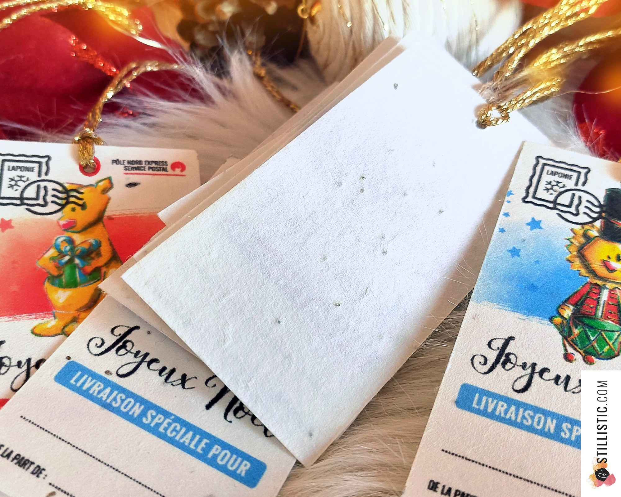 Etiquettes cadeaux animaux de Noël à planter papier ensemencé éco