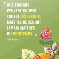 *** LE PRINTEMPS ***
Ça y est, c'est officiel, c'est enfin le printemps !
Malgré le contexte actuel, les actualités chagrines, on a envie de céder à ce nouvel élan, ce regain d'énergie, que l'on ressent à cette période de l'année !
Alors j'ai choisi cette citation pour raviver l'espoir et ce nouveau souffle : ne nous laissons pas happer par les mauvaises nouvelles et énergies qui nous entourent !
Gardons notre lumière, notre fraîcheur, continuons à écouter notre cœur <3
Faisons éclore ensemble un printemps bienveillant et éclatant :)
Et vous, quel est votre souhait pour ce printemps ?
#printemps #feelgood #goodmood #espoir #latetehaute