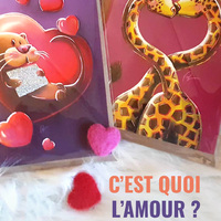 *** C'EST QUOI L'AMOUR ? ***

Je vous avouerais que j'avais, au départ, l'intention d'appeler ce post "il n'y a pas que les hommes dans l'amour" mais que je me suis dit que ça serait peut-être un peu trop "putaclic" comme on dit !
Oui, vous savez, ces titres ultra aguicheurs, souvent choquants, mais qui incitent à cliquer pour savoir de quoi il s'agit réellement !
Surtout que, de quoi il va s'agir réellement dans ce post ? Et bien "juste" de l'Amour, mais l'Amour au sens large.
Car la Saint-Valentin arrive, on parle beaucoup d'amour au sens "couple" du terme, mais pourquoi n'en profiterions pas pour célébrer l'amour dans son ensemble.
Le conjoint que l'on aime oui, mais aussi la famille que l'on aime, les amis que l'on aime, les animaux de compagnie que l'on aime, les abonnés que l'on aime et peut-être pourquoi pas l'amour de soi ?
La définition même de l'amour, c'est "Sentiment vif qui pousse à aimer, à vouloir du bien, à aider en s'identifiant plus ou moins".
Alors célébrons ce 14 février tout ce(ux) que l'on aime, répandons le bien autour de nous, partageons, aidons ! 
Et le monde n'en sera que meilleur ;)

Moi je vous aime en tout cas !
Et vous, à qui aimeriez-vous faire une déclaration d'amour ?

***
Tous les modèles de cartes de voeux sont à retrouver sur l'e-shop https://www.stillistic.com et en SOLDES !
***
Saint-Valentin | Célébrer l'amour | Slow love | Artisanat | Créatrice et illustratrice française | Illustration jeunesse